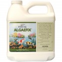 Algae Fix Liquid Algae Control