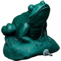 Aqua Frog